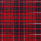 Reiver Light Weight Tartan Fabric - Cameron of Lochiel Modern